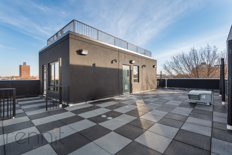 1707 Dean St, Apt 4C Image 16