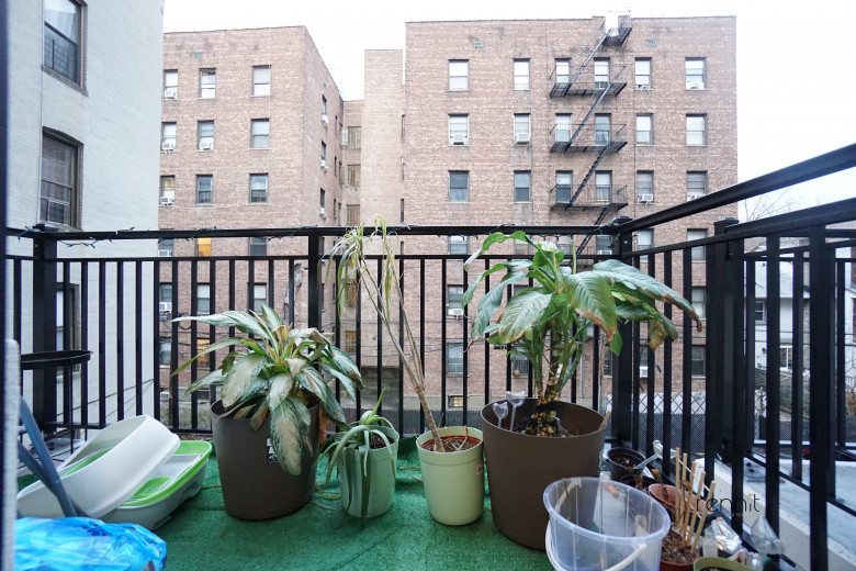 2039 Ocean Ave, Apt 306 Image 2